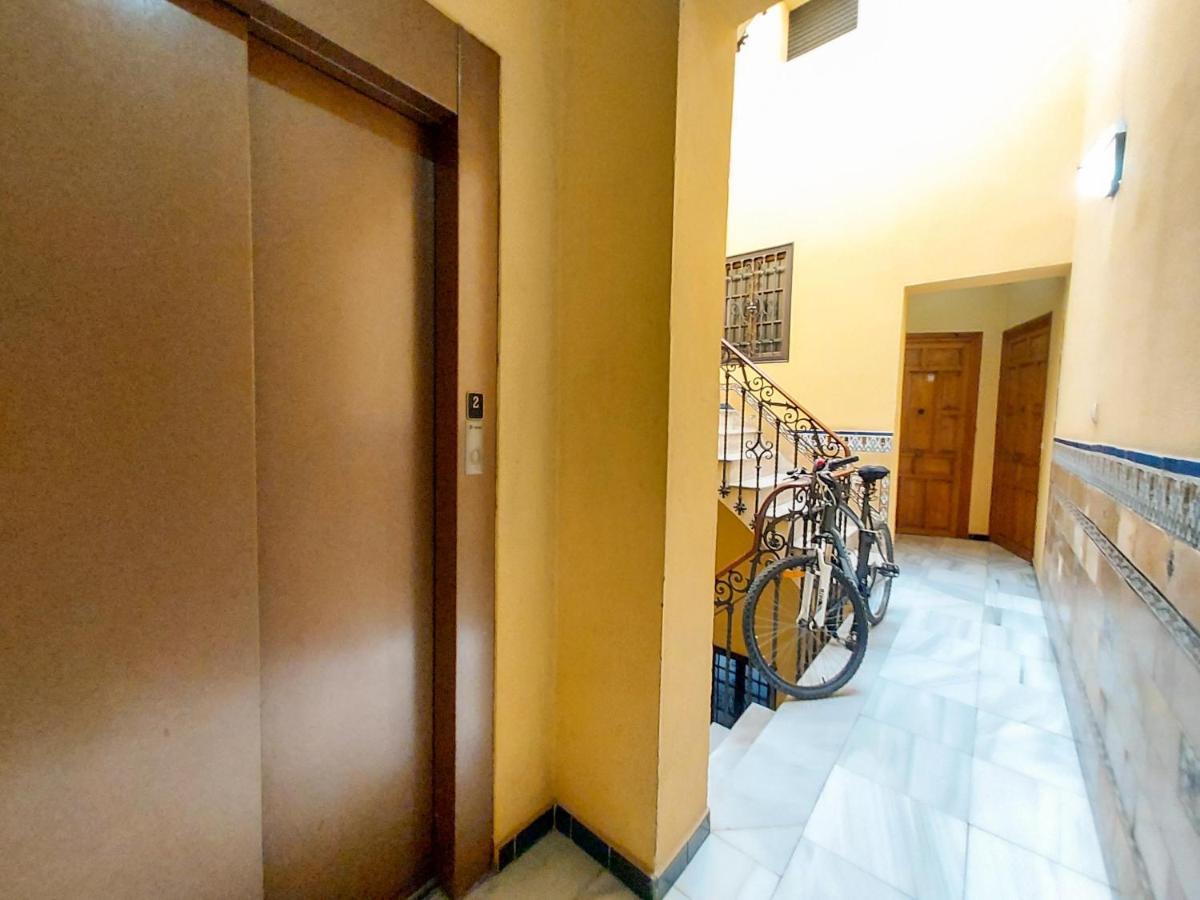 Apartamento Alameda Calatrava Sevilla Exteriér fotografie